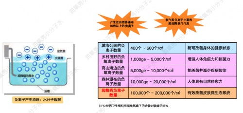 头皮润氧秀引领头皮微生态健康管理新理念