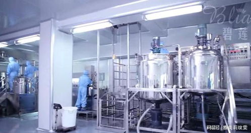 碧莲 护肤品oem哪家工厂比较好呢,想做代加工怎么考察工厂