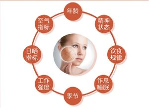 青岛博纳戈恩 4 c肌肤健康管理介绍