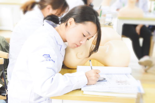 皮肤管理学习的内容包括哪些