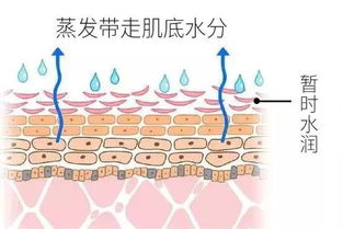锁 住q弹元气肌,鲜人一步